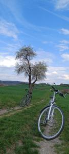 a bike parked next to a tree in a field at Woodlight Loft - Sauna & Nature Escape near Rothenburg ob der Tauber - Self Check-in in Diebach