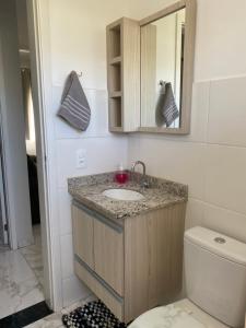 a bathroom with a sink and a mirror and a toilet at Apartamento in Espirito Santo Do Pinhal