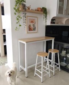 a kitchen with a table and two stools and a dog at El Kim Suites in Boac +2 photos