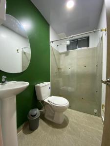 a bathroom with a white toilet and a green wall at Casa Lemora in Vergara +16 photos