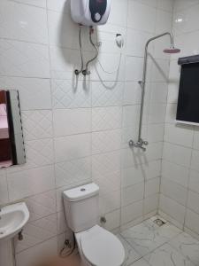 a bathroom with a shower with a toilet and a sink at OD-VICK'S PLUSH STUDIOS, Utako in Abuja