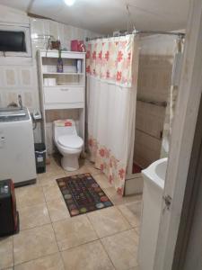 a small bathroom with a toilet and a shower at Hospedaje Domiluis in Coihaique