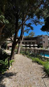 a tree with umbrellas next to a swimming pool at Village de las Pampas Apart Hotel Boutique in Mar de las Pampas