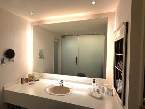 a bathroom with a sink and a large mirror at HOTEL Le Grand in Matsuzaka