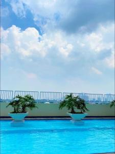 two trees in bowls on top of a swimming pool at Sweden's Tiny Home, Studio Unit Condo in Manila +28 photos