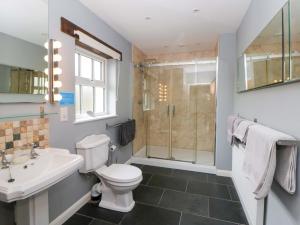 a bathroom with a toilet and a sink and a shower at Blaenffynnon Bach in Carmarthen +16 photos
