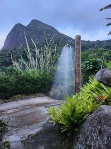 a waterfall in the middle of a garden with plants at Casa Limoeiro in Petrópolis