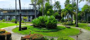 a garden in front of a building with palm trees at Silver Reef Dive Resort in Dauin