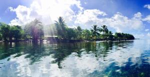 a large body of water with palm trees on the shore at Rainbow beach Bungalow in Matura