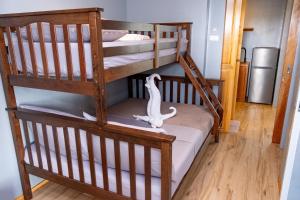 a couple of bunk beds with a toy bird on them at Silver Reef Dive Resort in Dauin +23 photos