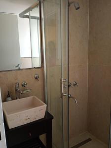 a bathroom with a shower and a sink at Aire Porteño in La Porteña +6 photos