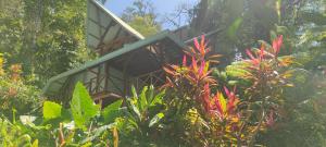 a tree house in the middle of the forest at Villa Colibri - Secluded Villa - Short Stroll to Beach, Shops & Restaurants in Cocles