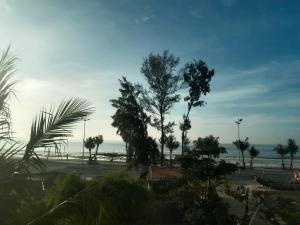 a view of a beach with trees and the ocean at Hotel Long Quân in Thanh Hóa +16 photos