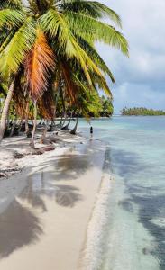 a person walking on a beach with palm trees at San Blas island cabins in Waisalatupo +8 photos