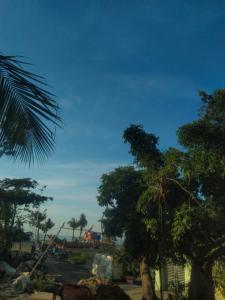 a view of a street with trees and the ocean at Flamingo ibza001 in Thanh Hóa