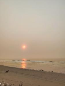 a person walking on the beach at sunset at Flamingo ibza001 in Thanh Hóa