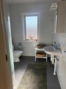 a bathroom with a sink and a toilet and a window at Ausås Ängelholm in Ängelholm +17 photos