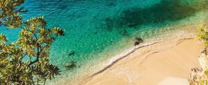 an aerial view of a beach and the ocean at Ocean view villa in Port Antonio
