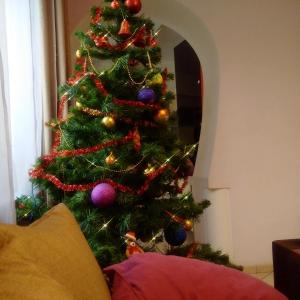 Fotografie z fotogalerie ubytování Lviv Euro Hostel ve Lvově