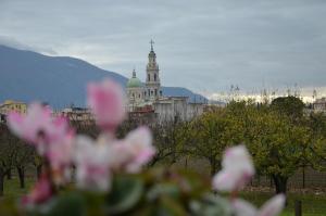 ポンペイにあるMichelangelo's Homeの建物前のピンクの花