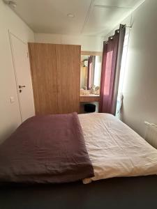 a bedroom with a large bed with a wooden cabinet at Tinyhaus Altmühlauszeit in Beilngries