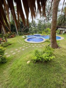 two swimming pools in a yard with a palm tree at Campo De Laiya in San Juan