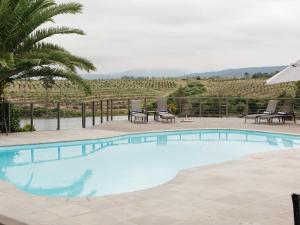 a swimming pool with a view of a vineyard at Portland Manor in Knysna