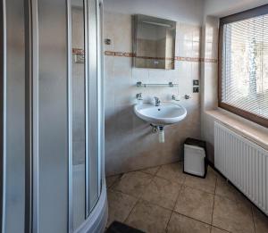 a bathroom with a sink and a glass shower at Penzion Horalka in Hlinsko +60 photos
