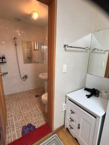 a bathroom with a shower and a toilet and a sink at 파노라마 스테이 in Paranjang