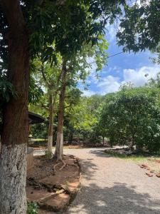 a park with trees and a dirt road at Infinity Farm Grove in Olavakod Junction