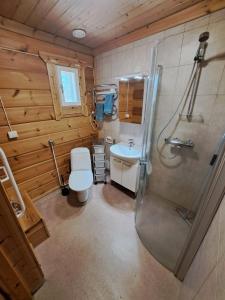 a bathroom with a shower and a toilet and a sink at Venetsianranta in Saarijärvi +25 photos