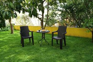 two chairs and a table in the grass at Olive Groove Chios in Chios