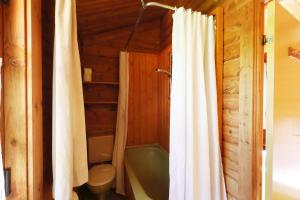 a bathroom with a tub and a shower curtain at Ferienhaus Neckar 46 in Hayingen +9 photos