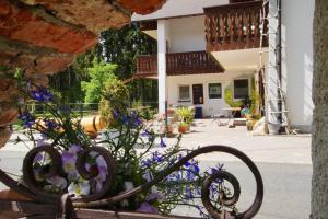 Zahrada ubytování Gasthof Pension Waldfrieden
