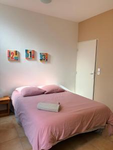 a bedroom with a bed with a pink bedspread at Studio Soulac centre et plage in Soulac-sur-Mer