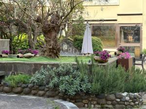 a garden with a tree and an umbrella at venice blu hotel in Mirano