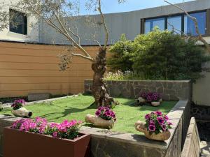 a garden with flowers in stone pots on the grass at venice blu hotel in Mirano +11 photos