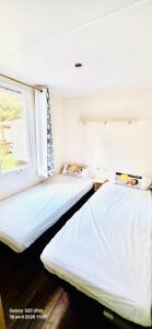 two beds in a room with a window at Mobil home 3 chambres - Homair parc des 7 fonts 3 étoiles in Agde