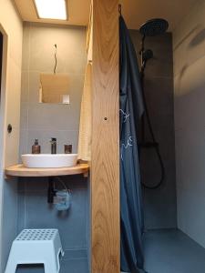 a bathroom with a sink and a shower at Fair Haven - Dobrej přístav in Lomnice nad Popelkou