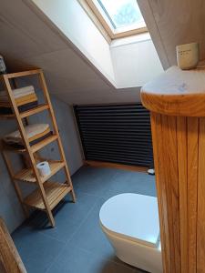 a attic bathroom with a toilet and a skylight at Fair Haven - Dobrej přístav in Lomnice nad Popelkou