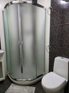 a bathroom with a shower and a toilet at Boutique Apartment with Jacuzzi Pleven in Pleven