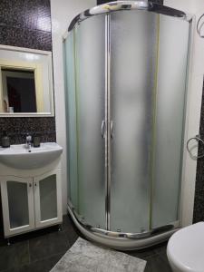 a bathroom with a shower and a sink at Boutique Apartment with Jacuzzi Pleven in Pleven +58 photos