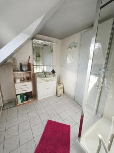 a bathroom with a sink and a shower at chambres d hôtes Coco in Arnage