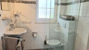 a bathroom with a sink and a toilet and a window at Harlacher-Mühle in Stetten