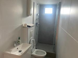 a bathroom with a shower and a toilet and a sink at Stefans Apartments B - 20 min bis DD Messe und Flughafen inkl Parkplatz in Willich