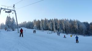 Gasthof Pension Waldfrieden v zimě