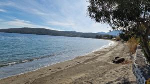 a sandy beach with a body of water at Ada in Kamáres