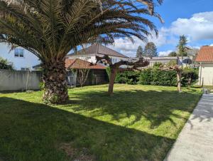 a palm tree in the yard of a house at Havre de paix in La Celle-sous-Gouzon