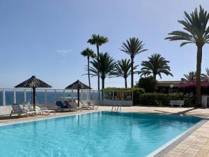 a swimming pool with chairs and palm trees and the ocean at Bungalow Atlantic View in Maspalomas