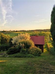a small house with a red roof in a field at Domek u Patryka in Mrągowo +10 photos